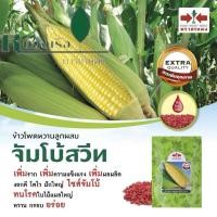 ราคา ศรแดง เมล็ดข้าวโพดหวานลูกผสม จัมโบ้สวีทF1 (200กรัม) (43359198155)