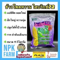 ราคา แปซิฟิค ข้าวโพดหวาน ไฮบริกซ์72 หมดอายุ15/02/2569 (ขนาด 1 กิโลกรัม) ข้าวโพด ฝักใหญ่ หวาน นุ่ม อร่อย (25883595683)