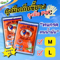 ราคา ถุงมือ PVC ตราKC "ทนกรด ทนน้ำมัน"ถุงมือยา แพ็ค 6 และ 12 แพ็ค [1 แพ็คมี 3 คู่] เก็บขี้ยาง/กระชับมือ ไม่ขาดง่าย และแข็งแรง (43959567893)