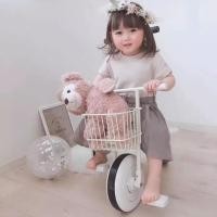 ราคา จักรยานวินเทจ จักรยานสามล้อสไตร์วินเทจ (2294612432)