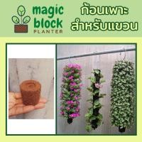 ราคา Magicblock ก4.4ก้อนสำหรับร้อยกับลวดแขวน 4*4 cm / ก้อนเพาะปลูกแทนดิน/ก้อนเพาะปลูกมหัศจรรย์ แพค 25 ชิ้น (4134320627)