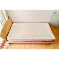 ราคา ที่นอนปิคนิค หรือท๊อปเปอร์ ขนาด 3.5ฟุต สีน้ำตาลอ่อนทูโทนกำมะหยี่ลายทาง ยี่ห้อ Arnaldo Bassini มือสองขายตามสภาพ เกาหลีแท้ (25611048507)