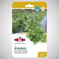 ราคา เมล็ดพันธุ์ ผักชี สายสมร 1,000เมล็ด ศรแดง (391478230)