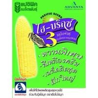 ราคา ข้าวโพดหวาน ไฮ-บริกซ์ 3 ขนาด 1 กิโลกรัม ข้าวโพดหวานแปซิฟิค Pacific Hi-brix หวานนุ่ม ข้าวโพดหวาน ฝักใหญ่ เมล็ดพันธุ์ผัก (3586805462)