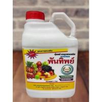 ราคา ปุ๋ยเคมีตราหวีทอง พันทิพย์ (23506315878)