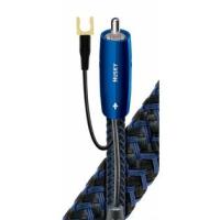 ราคา Audioquest Huskey SUB (RCA) (13842166176)