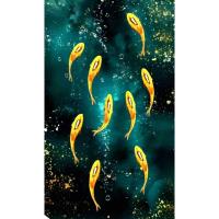 ราคา รูปโปสเตอร์ ปลาคาร์ฟ 25*42 cm ไม่มีกรอบ ติดผนัง ภาพมงคล เสริมฮวงจุ้ย ตกแต่งบ้าน (24941776411)