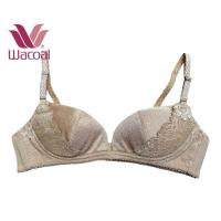 ราคา Wacoal เสื้อในไม่มีโครง รุ่น 2 ตะขอ size A75/34A (43101632007)