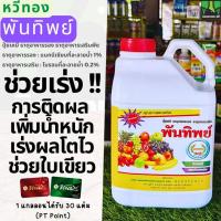 ราคา ปุ๋ยเคมีตราหวีทอง พันทิพย์ ขนาด 5 ลิตร ฮอร์โมนน้ำขาวตราหวีทอง ธาตุอาหารเสริมพืช ปุ๋ยน้ำ พันทิป หวีทอง ฮอร์โมนพืช (41000187371)