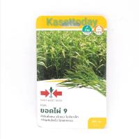 ราคา ผักบุ้งจีน​ ยอดไผ่​9 ตราศรแดง​ เมล็ดพันธุ์ตราศรแดง (8137148834)