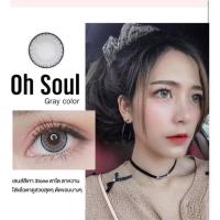 ราคา Oh Soul Gray / mini Oh Soul Gray บิ๊กอาย สีเทา Kitty Kawaii มินิ Contact Lens Bigeyes คอนแทคเลนส์ (27372877563)