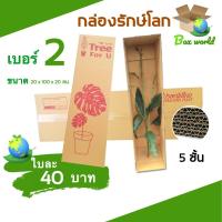 ราคา QBox7 - ลูกฟูกหนา 5 ชั้น กล่องต้นไม้ เบอร์ 2 ลูกฟูก 5 ชั้น (จำนวน 5 ใบ) ส่งฟรี (23661300610)