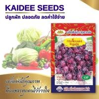ราคา เมล็ดกระเจี๊ยบแดง (Roselle) เมล็ดพันธุ์กระเจี๊ยบแดง กระเจี๊ยบแดง เมล็ดผักสวนครัว ตราภูเขาทอง (4758885896)