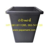 ราคา (3-5ใบ) papamami กระถางดำ เหลี่ยม 7 นิ้ว ทรงสูง กระถางพลาสติก กระถางแคคตัส กระถางไม้ด่าง ที่ปลูกไม้ด่าง กระถางปลูกไม้ด่า (14121100112)