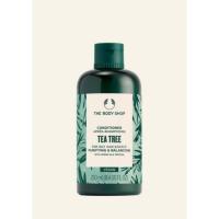 ราคา THE BODY SHOP TEA TREE CONDITIONER 250ML (22906897535)