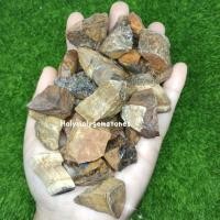 ราคา ✨พร้อมส่งน้า✨Tigers eye(Raw) (25901959246)