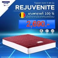 ราคา Topperยางพาราmidasขนาด5ฟุตหนา2นิ้ว จัดส่งฟรีทั้วประเทศ (8874861807)