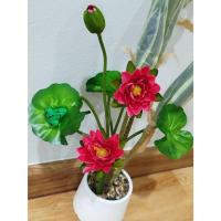 ราคา ดอกบัว (ต้นดอกบัวช่อ ดอกบัวเบญจพร สีบานนเย็น ตกแต่งกบ 1ช่อมี 7 ก้าน 3ดอก 4ใบ ดอกบัว ดอกบัวเบญจพร ดอกบัวปลอม ดอกบัวผ้า (25481300223)