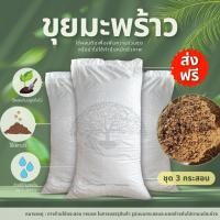 ราคา (ส่งฟรี)ขุยมะพร้าวละเอียด 3​ กระสอบ(7-10kg./กระสอบ) ขุยใต้แท้100% ขุยกะทิ ใยน้อย จัดส่ง 5-7 วัน (6053906516)