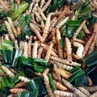 ราคา หนอนรถด่วน หนอนไม้ไผ่ (2188349673)