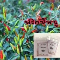 ราคา เมล็ดพริกขี้หนูสวน พริกขี้หนู พริก (10แถม1คละอย่างได้) (3535814882)