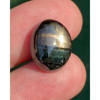 ราคา พลอย แบล็ค สตาร์ แซฟไฟร์ Black Star Sapphire 14.00 กะรัต (Cts.) ดิบ Unheated พลอยแท้ (16722522699)