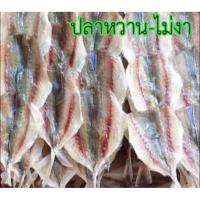 ราคา ปลาข้างเหลืองหวานไม่งา 500 กรัม (6131089769)