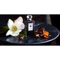 ราคา PRE-ORDER JO MALONE LONDON COLOGNES (INTENSE RANGE) 100/50 ML (3317171076)