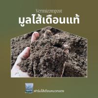 ราคา มูลไส้เดือน ปุ๋ยมูลไส้เดือน 450 กรัม (11071893916)