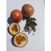 ราคา เมล็ดพันธุ์เสาวรสหวาน พันธุ์มาดุ (เสาวรสสายน้ำผึ้ง) 50 เมล็ด (29170217323)