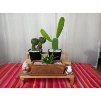 ราคา ชั้นวางของ 2 ชั้น วางต้นไม้ หรือโมเดล ทำจากไม้สน เคลือบกันน้ำ ขนาดเล็ก (20750608308)