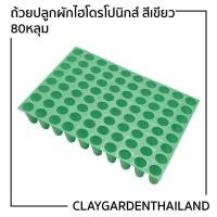 ราคา ถาดเพาะ ถ้วยปลูกผักไฮโดรโปนิกส์ A+ สีเขียว 80หลุม (11108568836)