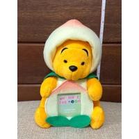 ราคา กรอบรูปตุ๊กตาหมีพูห์ (25121686676)