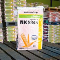ราคา เมล็ดพันธุ์ข้าวโพดเลี้ยงสัตว์ NK 6848 3.5 หุน 10 kg. สู้แล้ง ผลผลิตสูง (ข้าวโพด เมล็ดพันธุ์ผัก เมล็ดพันธุ์พืช ) (26784240034)