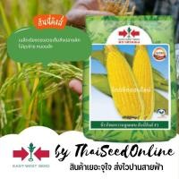 ราคา EWCOM 500กรัม/1กก เมล็ดพันธุ์ ข้าวโพดหวานฮันนี่คิงส์ ตราศรแดง (14948493317)