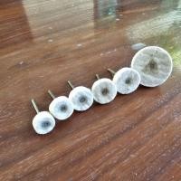 ราคา ลูกขัดสักหลาด แกนขัดสักหลาด (19581645925)