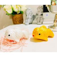 ราคา ปลาเงินปลาทอง 1 คู่. (23230500689)