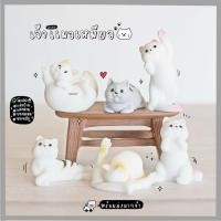ราคา โมเดลแมว แมวโยคะ แมวบิดตัวงอ (ชุด 6 แบบ) MS6144 ตุ๊กตาจิ๋ว โมเดลจิ๋ว ตุ๊กตาเรซิ่น แต่งสวน แต่งบ้าน งานDIY (25191896150)