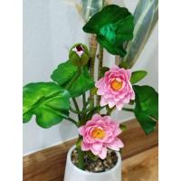 ราคา ดอกบัว พร้อมส่ง (ต้นดอกบัวช่อ ดอกบัวเบญจพร สีชมพู แต่งกบช่อใหญ่1ช่อมี 7 ก้าน 3ดอก 4ใบ ดอกบัว ดอกบัวปลอม ไหว้พระ (25031296469)