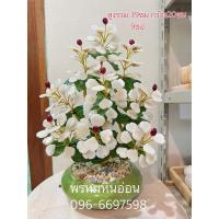 ราคา ต้นหยก ต้นหยกมงคล หินหยกพม่า (22854950477)