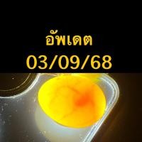 ราคา (03/09/68) ไข่เชื้อนกหงส์หยก ไข่เชื้อนกแก้ว นกหงส์หยก ไข่นก (27734389803)