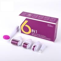 ราคา Derma Roller สําหรับผิวหน้าและผิวกาย - 6 in 1 Titanium Microneedle Roller Kit Micro Needle Roller, 300 และ 720 เข็ม 0.25 มม.,1200 เข็ม 0.3 มม.พร้อม 5 หัวเปลี่ยนได้ (29288011042)