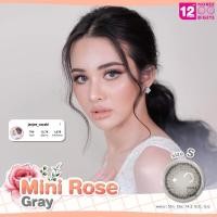 ราคา Mini Rose Gray/สีเทา [สายตาสั้น -0.00 ถึง -10.00] Size Mini (S) ขนาดเล็ก / คอนแทคเลนส์ / ยี่ห้อ Kitty Kawaii (11480274150)