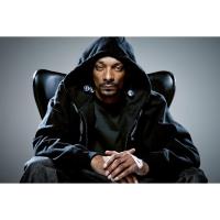 ราคา โปสเตอร์ สนูป ด็อกก์ Snoop Dogg Snoop Lion Poster แร็ปเปอร์ Rapper Hiphop ฮิปฮอป โปสเตอร์ ตกแต่งผนัง Music ตกแต่งบ้าน (6661793300)