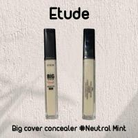 ราคา Etude House big cover concealer skin fit pro สี Neutral Mint แท้ (25373378326)