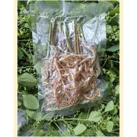 ราคา รากตำแยแมว แมวฟิน(15/25 ต้น) (42412876366)