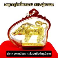 ราคา พญาหมูป่าเขี้ยวเพชร เนื้อกะไหล่ทอง เลี่ยมกรอบกันน้ำ หลวงปู่กาหลงเขี้ยวแก้ว วัดเขาแหลม คุ้มครองแคล้วคลาดปลอดภัยศัตรูพินาศ (12178926241)