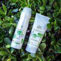 ราคา Wella Elements Renewing Shampoo 250ml / Conditioner 200ml (11487058883)