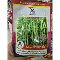 ราคา เมล็ดถั่วฝักยาว ค้างคาวไฟ ขนาด 100 กรัม ถั่วเนื้อ เมล็ดขาว ดก ตราBYN ค้างคาว9 (28228888171)