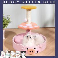 ราคา คอนโดแมว คอนโดแมว3ชั้น คอนโดแมวราคาถูก คอนโดฝนเล็บแมว ของเล่นแมว ที่ลับเล็บแมว ที่ฝนเล็บแมว เสาลับเล็บแมว ที่นอนแมว (23302728363)